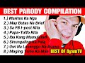 Funniest Parody Song Compilation