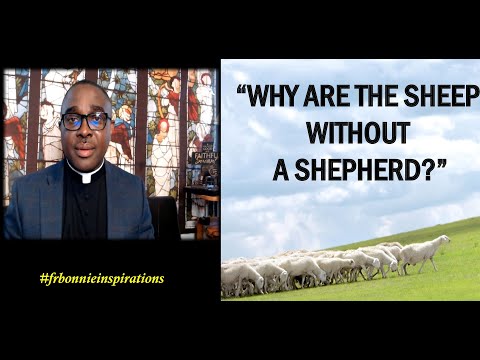 WHY ARE THE SHEEP WITHOUT A SHEPHERD| #frbonnieinspirations|