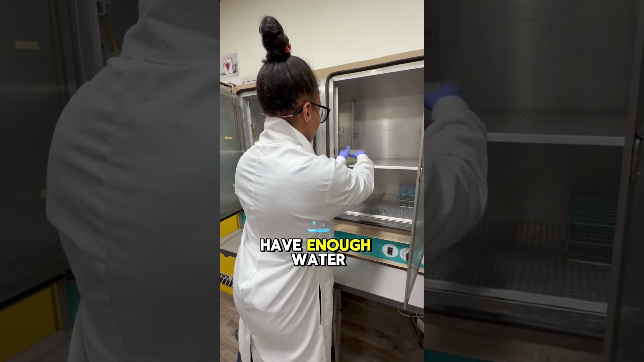 How QC Checks Keep Lab Results Accurate - Bacterial Incubator Demo.#medicallabtechnician