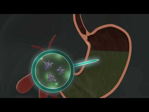 N-Zyme Biomedical Inc.