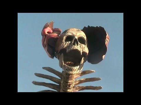 CARNEVALE DI VIAREGGIO 2011