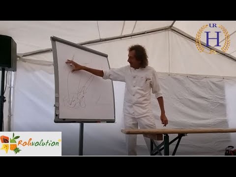 Manifestieren / Schöpferkräfte - Urs Hochstrasser