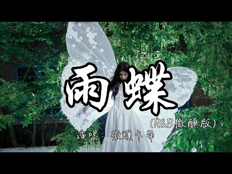 微醺卡带 - 雨蝶(R&B微醺版)『我向你飞 雨温柔的坠 像你的拥抱把我包围。』『动态歌词MV』#翻唱 #经典老歌 #琼瑶剧 #推荐好听的歌曲