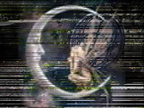 SANDRA CRIVELLI  "Enero"