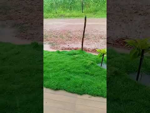 #vidanaroça chuva aquir em poçao de pedras