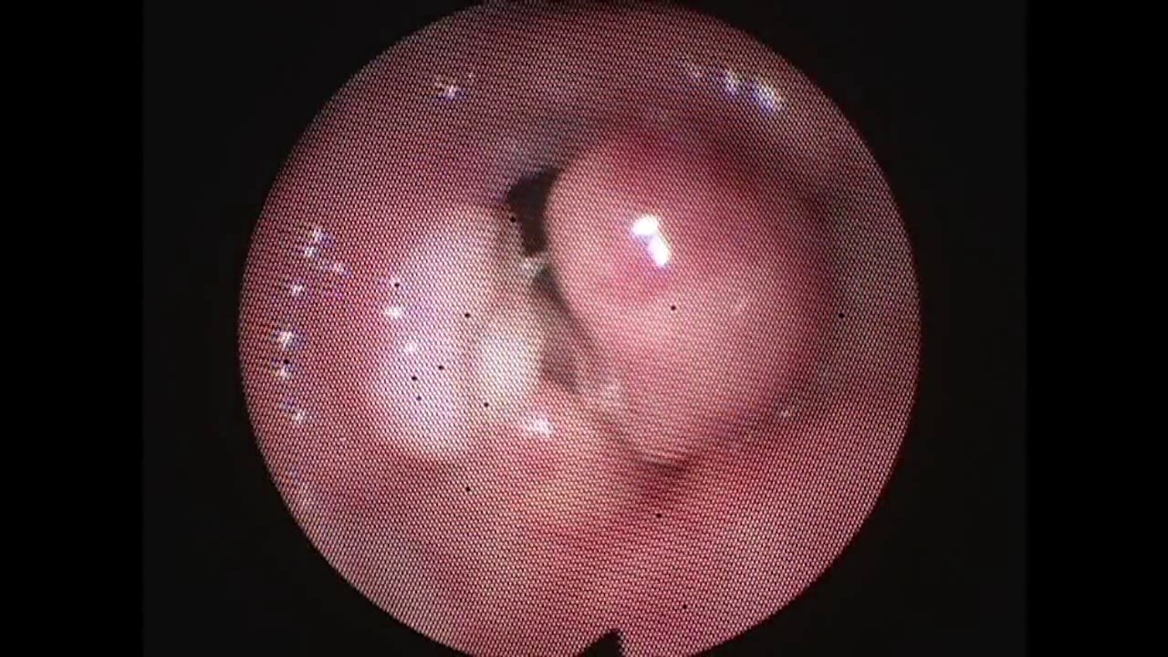 Joaquín Archibaldo Hope Guerrero-11