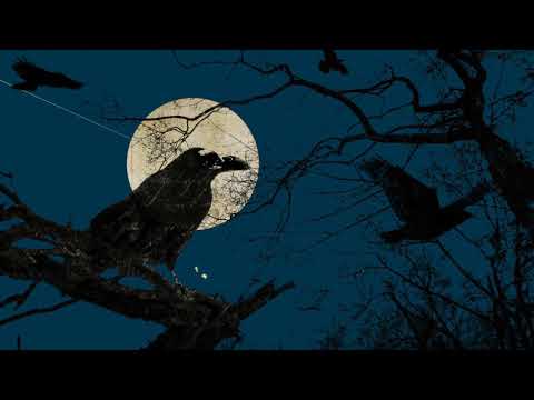 "Raven" - 90's Old School Hip Hop Instrumental Boom Bap Underground Rap Beat - Prod. By Klaxy Beats