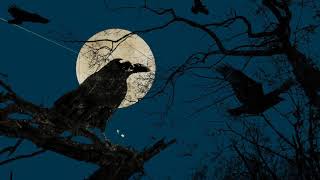 &quot;Raven&quot; - 90&#39;s Old School Hip Hop Instrumental Boom Bap Underground Rap Beat - Prod. By Klaxy Beats