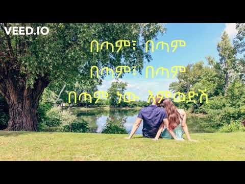 Dawit Tsige Betam New Yemwedsh በጣም ነው የምወድሽ Lyrics music [HENI entertainment]
