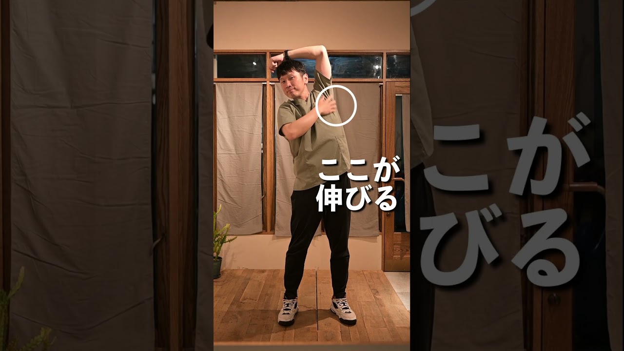 姿勢悪い人試さなきゃ損【肩甲骨/胸郭まとめてはがす】