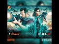Tiger Partyla Naam - Tamil Version |  Tiger 3