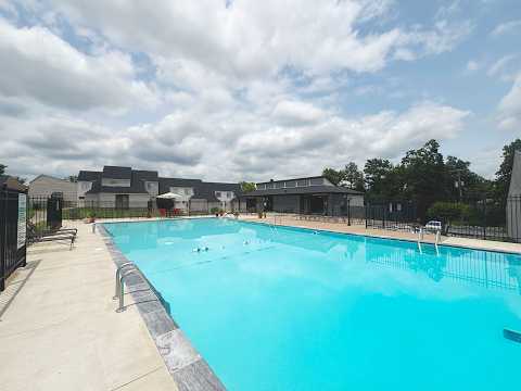 Dog Park & Pool