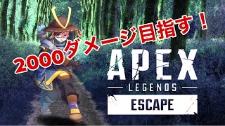 【APEX】シーズン１１ハンマー目指すぞ！（PS4）