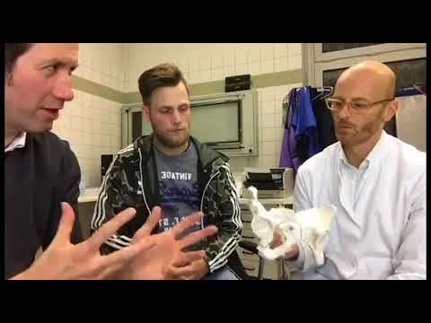 Schmerzen in der rechten Seite des Rückens in der Nacht Ð ± оР»NOE d² Ð¿Ð¾Ñ Ð½Ð¸Ñ Ñ † d & mgr; dn» ÐμвР° Ñ, ÐμмпÐμÑ € € Ð ° Ð ° Ñ, ÑƒÑ 37,3