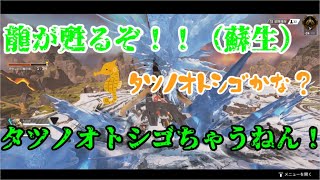 ほのぼの隊のAPEX日記＃１