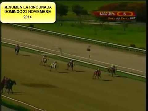 RESUMEN LA RINCONADA DOMINGO 23 NOVIEMBRE 2014