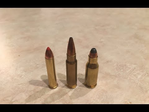 22 mag vs 5.7 x 28 vs 22 tcm