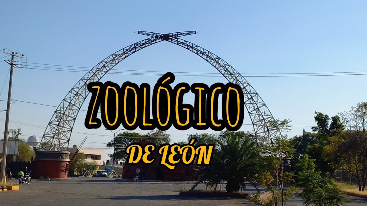 VISITAMOS EL ZOOLÓGICO de León 🦁