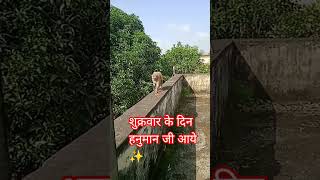 Download lagu bokeh full frame asli 1 jam 🚩 #shortsfeed #youtubeshorts #ytshorts #bokeh #viralshorts mp3