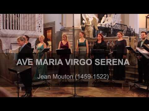 Ave Maria Virgo Serena | Jean Mouton | Ars Nova Copenhagen