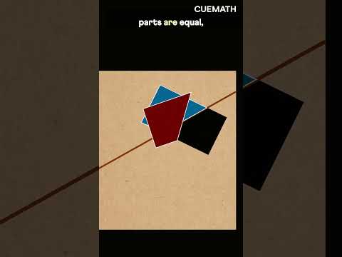 One cut — two equal parts. How?