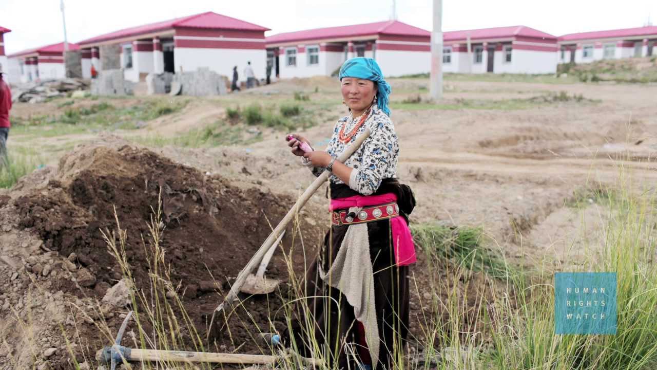 China: End Involuntary Rehousing, Relocation of Tibetans