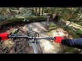 Mountain Bike Trail POV 109 Pingu Into Pangor Mt Seymour