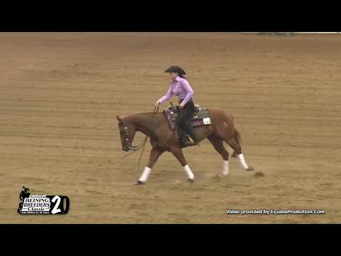 Xtra Taris Voodoo ridden by Marie Kleiner  - 2017 NRBC (Open Prelims)