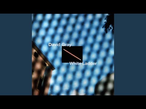 download lagu mp3 mp4 David Gray Say Hello Wave Goodbye, download lagu David Gray Say Hello Wave Goodbye gratis, unduh video klip Download David Gray Say Hello Wave Goodbye Mp3 dan Mp4 Youtube Gratis