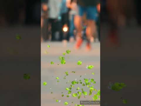 DIY 🌺 flower...#vihanagadia #art #cute