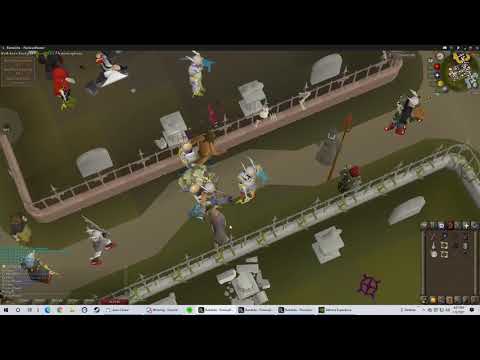 OSRS - Pet #27 Soul Wars