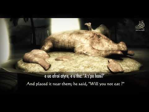 Ngjarja e Engjëjve me Ibrahimin (A.S) » Kaptina Edh-Dharijatë [24-30]