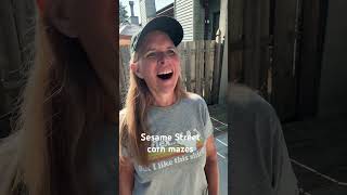 #sesamestreet #cornmaze #funny #lol #comedyshorts #cleancomedy