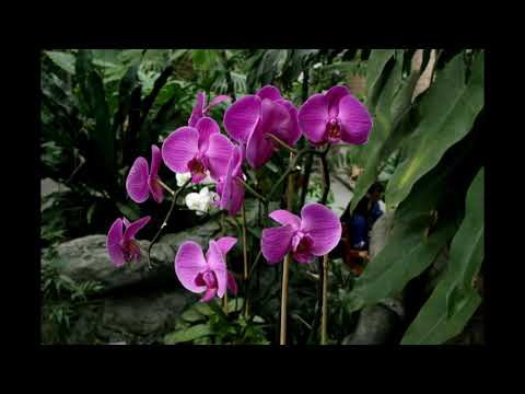 Happy Birthday Keisha!