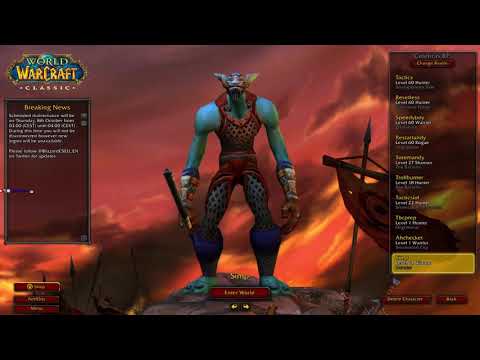 Level 13-19 | World Record warrior speedrun 1-60 3d17h31m - Classic wow