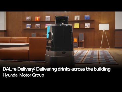 Hyundai DAL-e Review Video 1