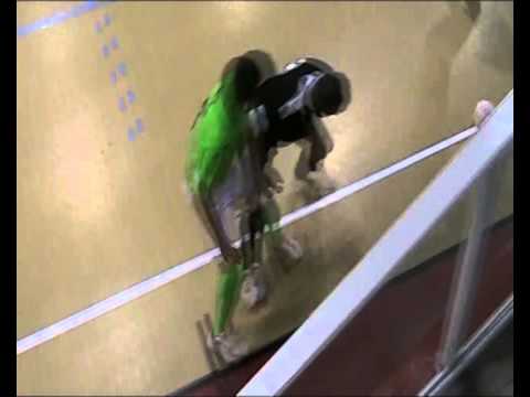 180915.Occasione Bolghera e parata Clan Pizz. La Nave (sullo 0-1)