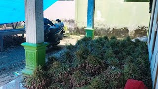 Download lagu RINDU SAPROL BERKEDOK AMBIL PESANAN BRAMBANG DI RUMAH MAS ANDIK NUR PRABOWO mp3