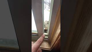 Miniature vidéo