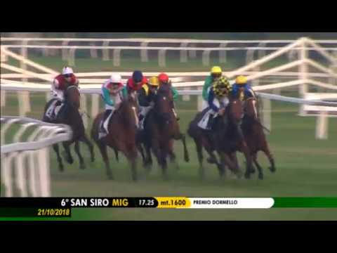 2018.10.21 Premio Dormello (ITA) - Noblesse Oblige