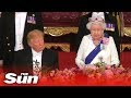 The Queen addresses State Banquet as part of President Donald Trump's visit to the UK The Queen addresses State Banquet as part of President Donald Trump's visit to the UK