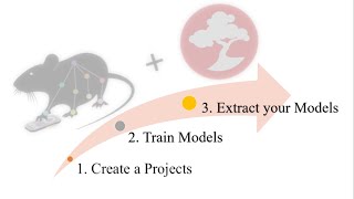 Download the video "DeepLabCut- From Creating a Project to Exporting a Model"