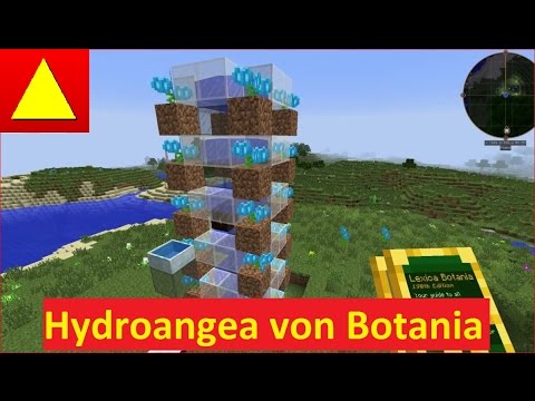Hydroangeas Botania Manafarm der coolen Art Tutorial