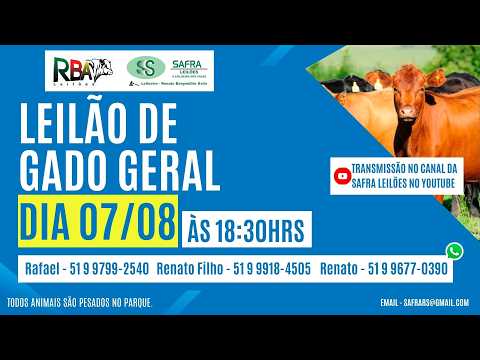 LEILÃO DE GADO GERAL (07/08) - SAFRA LEILÕES / PASSO DO SOBRADO-RS