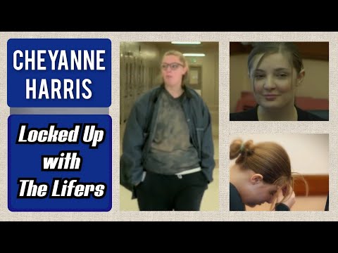 CHEYANNE HARRIS: THE DOC U ASKED FOR: Bullied or The Bully?