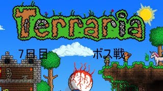 テラリア　7日目　　ボス戦　　［ゆっくり実況］