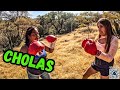 Chola Vs Fresa Boxing Tournament