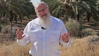 איך אוהבים את אלוקים, איך ממליכים אותו? | הרב שמואל אליהו | הלכה יומית | י"ח תמוז תשפ"ד (הרב שמואל אליהו) - התמונה מוצגת ישירות מתוך אתר האינטרנט יוטיוב. זכויות היוצרים בתמונה שייכות ליוצרה. קישור קרדיט למקור התוכן נמצא בתוך דף הסרטון