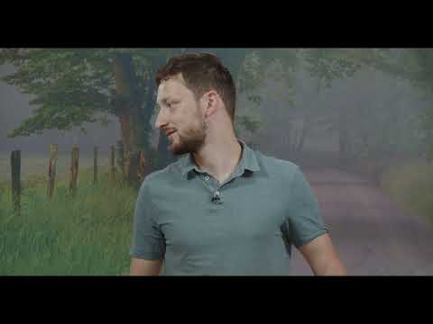 Diamantul harului | Andrei Croitoru | Z3 S1