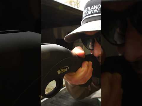 NEW Tristar Viper G2 Pro 12ga Semi-Auto Shotgun Review